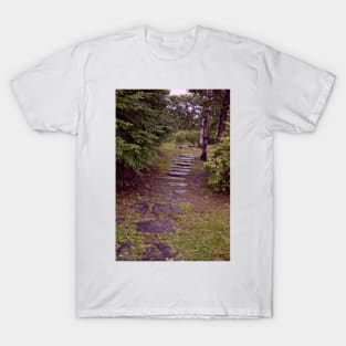 Steps on Campus of Far East Federal University, Vladivostok, Russia T-Shirt